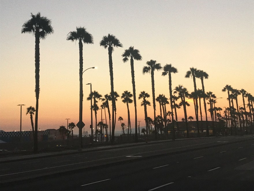 7CF62FF9-0B69-4B62-9C48-3A4B40B8B9D1 4.JPG